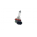Галогеновая лампа HNG H11 12V 55W (шт.)