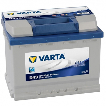 Аккумулятор VARTA 60Ач 540А +/- 242*175*190 Blue Dynamic  D43